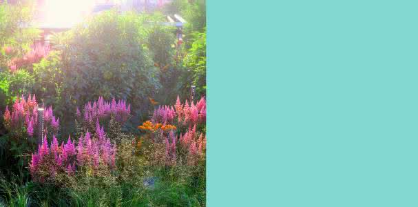 纽约high line 五月纽约活动|熬过final好好high