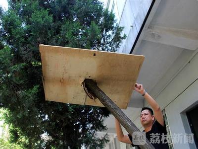 蛋壳心理 父母应谨防孩子的蛋壳心理