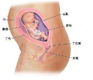 网络自净功能 水为什么有自净功能 怎样维护阴道白带自净功能