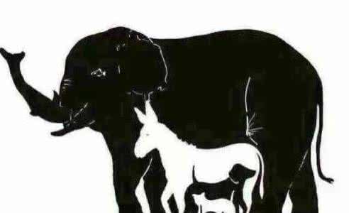 暴虎冯河 爆虎冯河猜一动物？