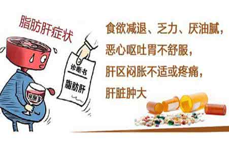 脂肪肝的危害有哪些 脂肪肝的危害 它的危害有哪些