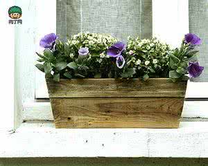 变废为宝手工小制作 变废为宝小制作图片 【园艺手工】变废为宝手工小制作|家有妙招废物利用教程╭★肉丁网