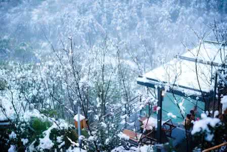 北海道什么时候下雪 北海道什么时候下雪 【新年大促】一下雪，北海道就上演浪漫冬日童话，雪趣魅力，最高立减1200！