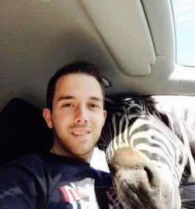 斑马的脑袋歇后语 斑马的脑袋 难挡胡萝卜诱惑 斑马把头挤进车厢