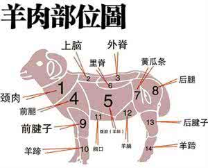 牛羊肉切片机 天冷了,教你牛肉羊肉各部位怎么吃?