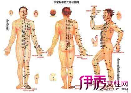 经络的生理功能 经络的临床应用