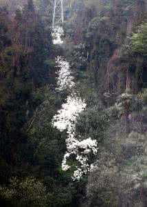 与子入山来