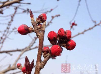 中国中草药配伍大全 中国中草药配伍大全（下）