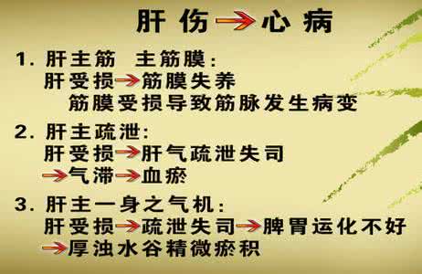 北京卫视养生堂 心血管疾病的根源在肝(北京卫视养生堂)