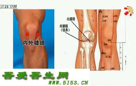 万家灯火 万家灯火付国兵20150127 妙手解开千筋结之腿部筋结