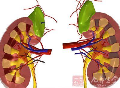 憋尿 膀胱炎 憋尿为什么会导致膀胱炎