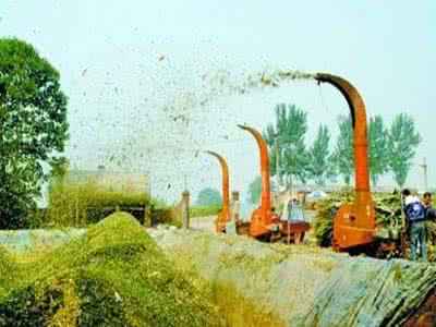 泥土埋藏酒 泥土埋藏酒 把奶罐埋藏在泥土里，就算不浇水植物也不会枯萎