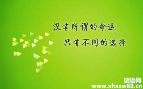 自律给我自由 励志成功：你有多自律，就有多自由
