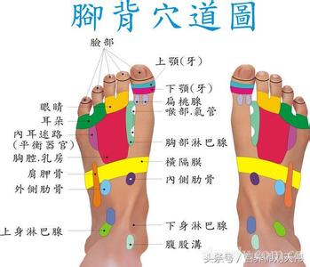 如何养肝护肾 简易养生法：如何养肝护肾