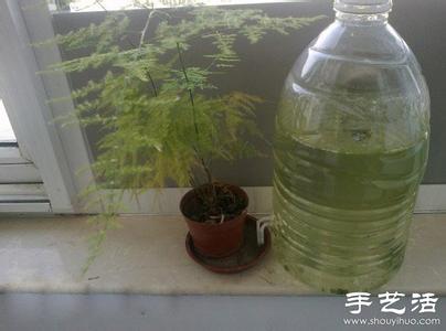 大桶矿泉水瓶废物利用 大桶矿泉水瓶废物利用制作自动浇水器