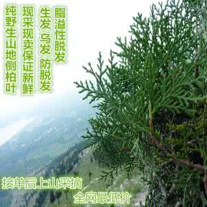 孟氏乌发生发 假的 孟氏乌发生发 少年头发花白，这种植物的枝叶煮水洗头方便安全，生发乌发！