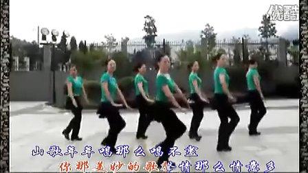 紫蝶踏歌广场舞2017 紫蝶踏歌广场舞 动感广场舞视频教学