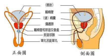 诱发精神障碍的病因 阴茎皮肤炎诱发病因是什么