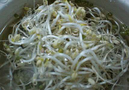 全自动豆芽机械 豆芽可是个好东西---老厨豆芽