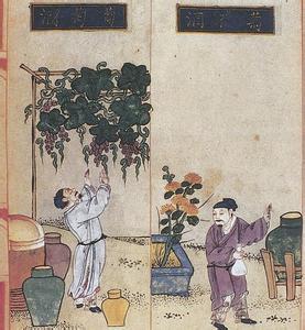 冬寒菜 古诗词中关于冬寒的记载