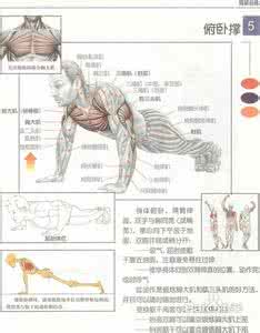 肌肉锻炼 肌肉锻炼强度怎么控制