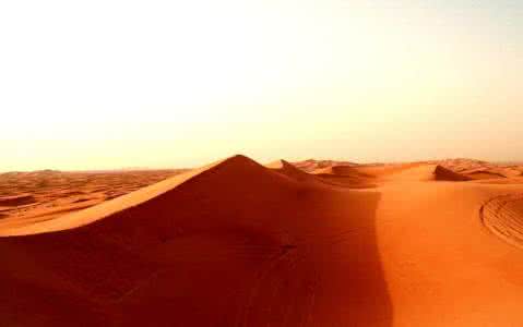 阳光明媚的一天 胸藏阳光 明媚生活