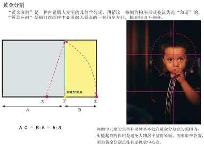 三段线条黄金分割比例 摄影入门 如何发现线条及黄金分割好处