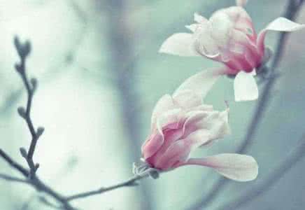 意境最美的中国古诗词 意境最美的中国古诗词 意境最美的10首古诗词，陶醉其中