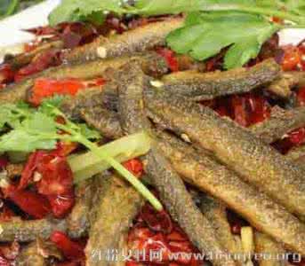 泥鳅 中医 泥鳅的药用价值 泥鳅的中医药用价值