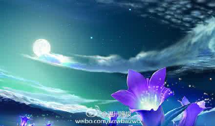 放空的心是最好的礼物 晚安心语160306：放空的心是最好的礼物；独走的路是最美的风景