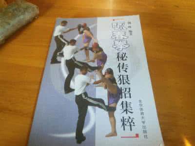 松溪派秘传技击术 你从来不知道的咏春拳秘传技击心法
