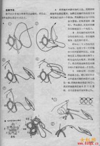 梭编教程 梭编基础