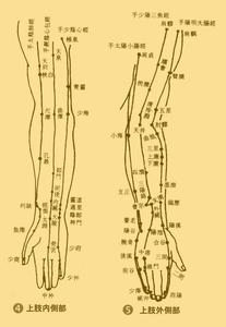 五脏六腑 六腑下合穴【图表】