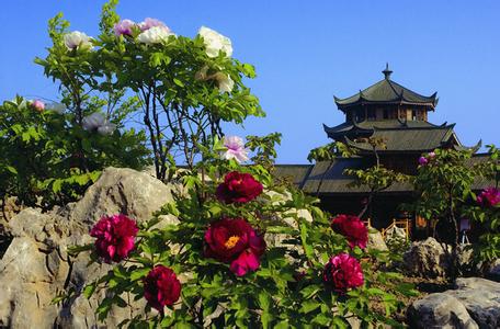 太仓旅游景点 太仓旅游景点1