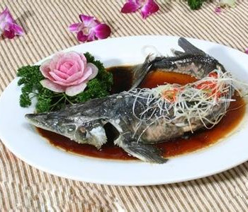 鲟鱼的营养价值与功效 鲟鱼的营养价值与功效 红烧鲟鱼的营养价值
