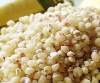 高粱米和什么米搭配好 高粱米的功效与作用