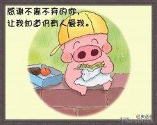 女人爱美的经典语录 经典语录：对付女人只需要8个字：美、行、买、不胖、我的错