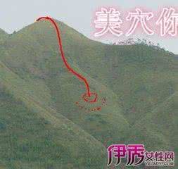 初学风水基础入门知识 风水知识大全