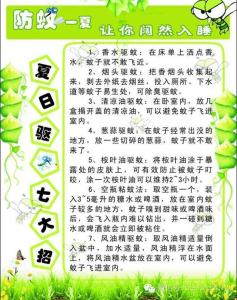 无毒灭蚊 夏天来了  教你无毒灭蚊妙招