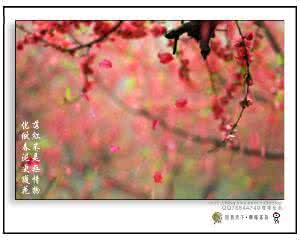 龚自珍落红不是无情物 落红不是无情物,化作春泥更护花。清 龚自珍《己亥杂诗(其五)》