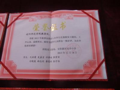 实习指导教师工作总结_教师见习期工作总结