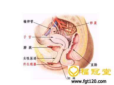 盆腔炎容易治疗吗 房事不洁容易引起盆腔炎