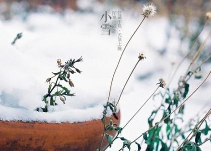 小雪节气习俗 为果树保暖