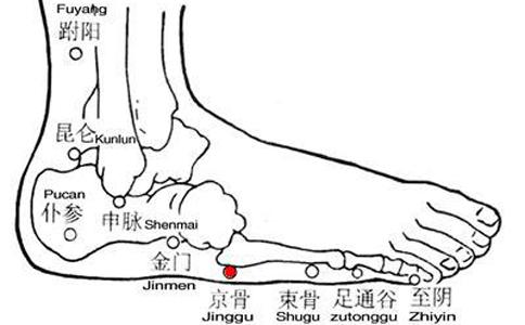 京骨的准确位置图片 京骨穴位位置图