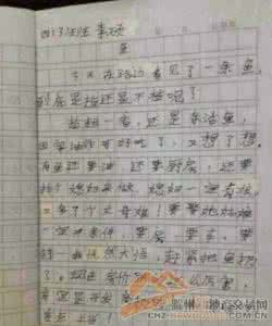 作文升格训练 【第二编 作文训练及作文升格】第十九讲