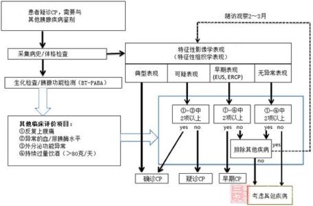 慢性胰腺炎诊治指南 日本慢性胰腺炎指南更新要点解析