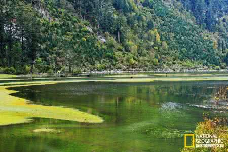 莲花湖穿越伍须海 寻找碧池空谷｜四川莲花湖——伍须海穿越攻略