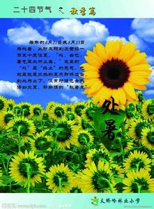 二十四节气的由来 二十四节气之处暑的由来