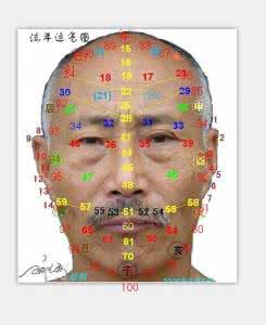 眉毛断了面相 面相初步断