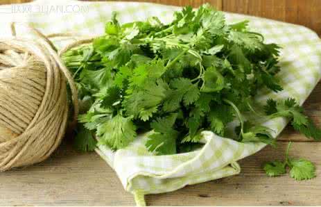 香菜怎么吃有营养价值 香菜的营养价值